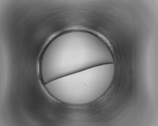 X0000114211295200910091021