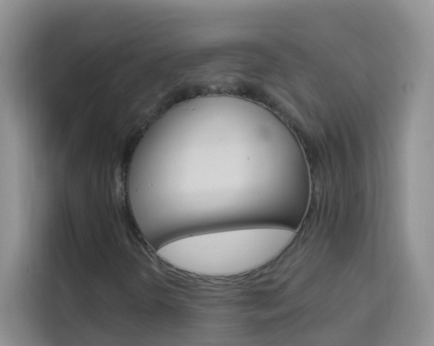 X0000114211298200910091020