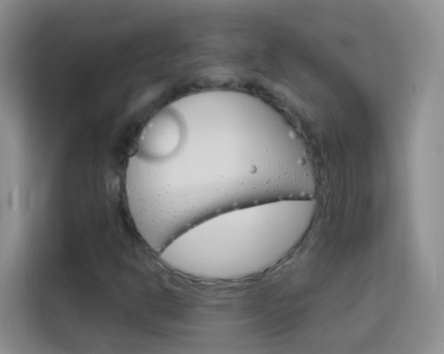 X0000114211302200910091021