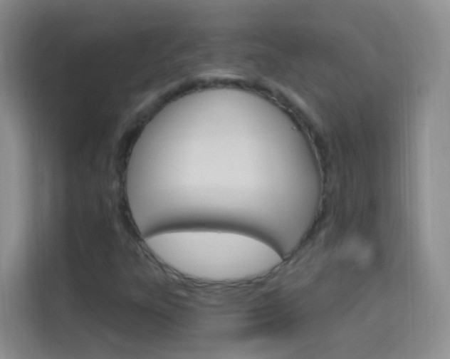 X0000114211303200910091021