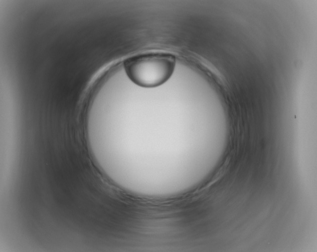 X0000114211310200910091021