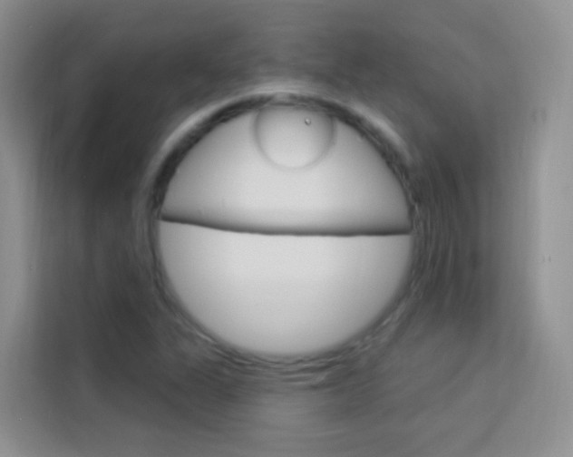 X0000114211311200910091021