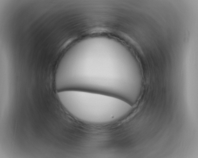 X0000114211313200910091021