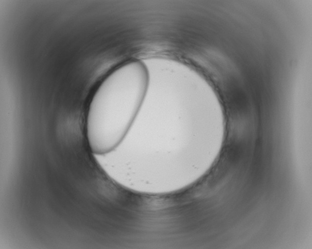 X0000114211314200910091021