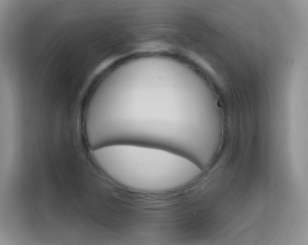 X0000114211315200910091021