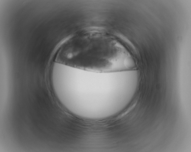 X0000114211317200910091021