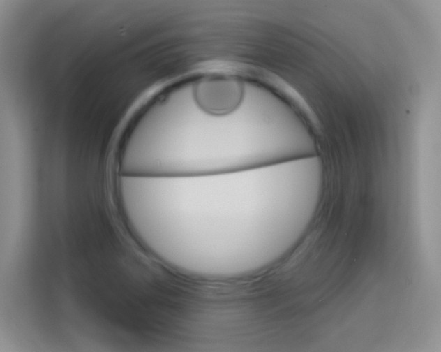 X0000114211323200910091021