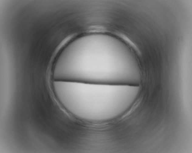 X0000114211325200910091021