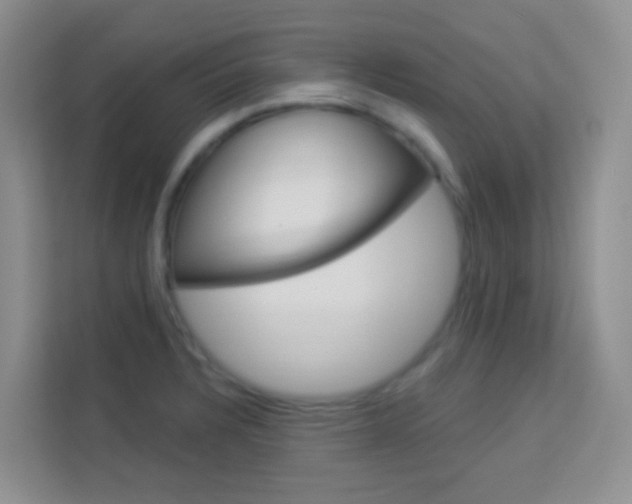 X0000114211328200910091021
