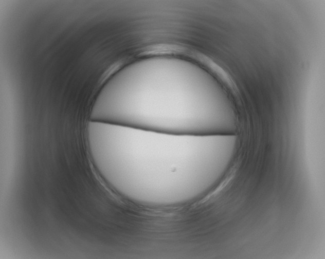 X0000114211329200910091021