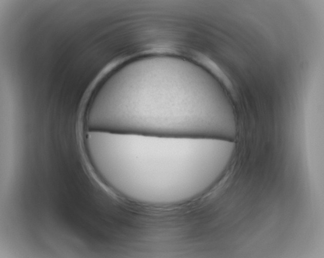 X0000114211331200910091021