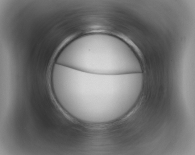 X0000114211333200910091021