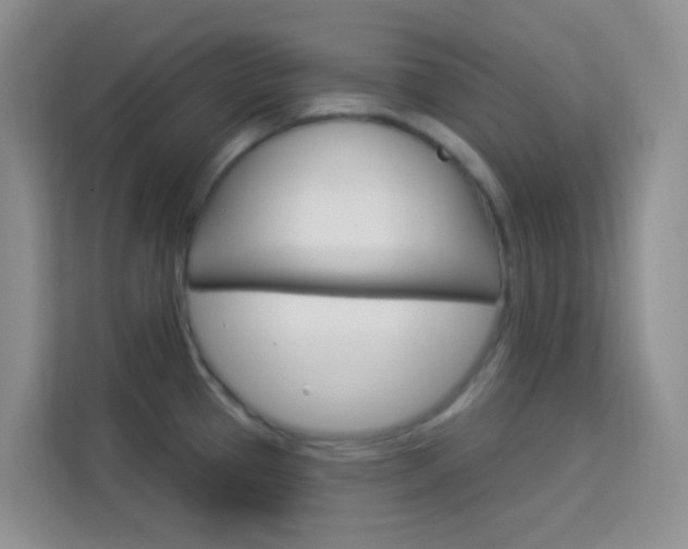 X0000114211337200910091021