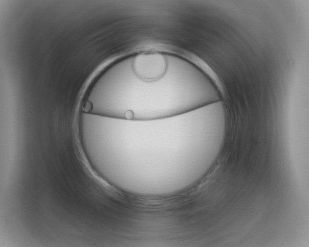 X0000114211339200910091021