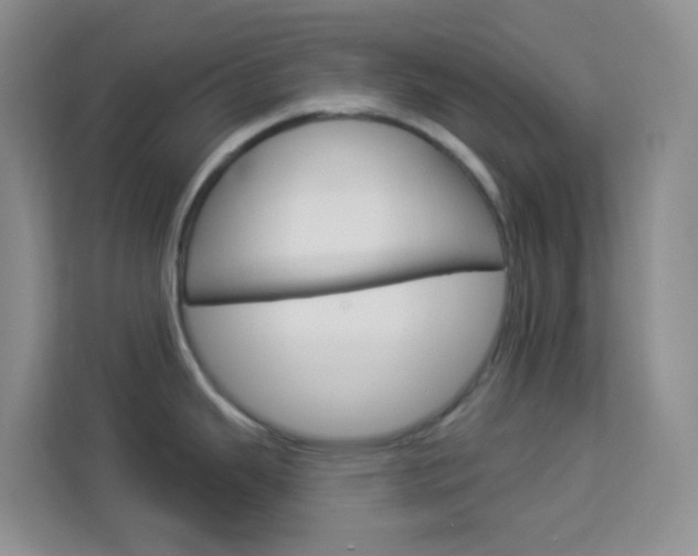 X0000114211343200910091021