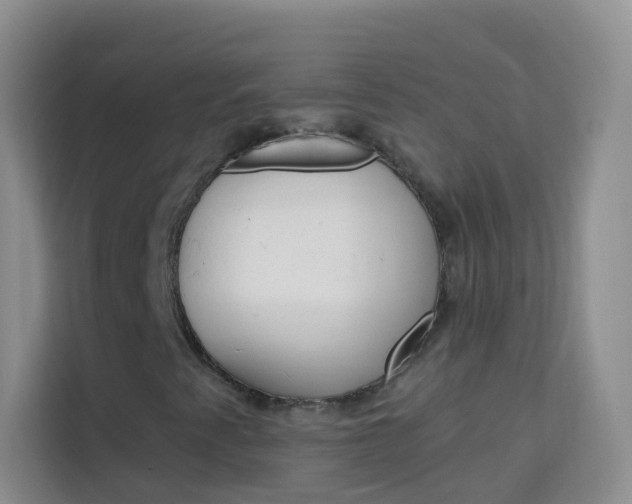 X0000114211345200910091020