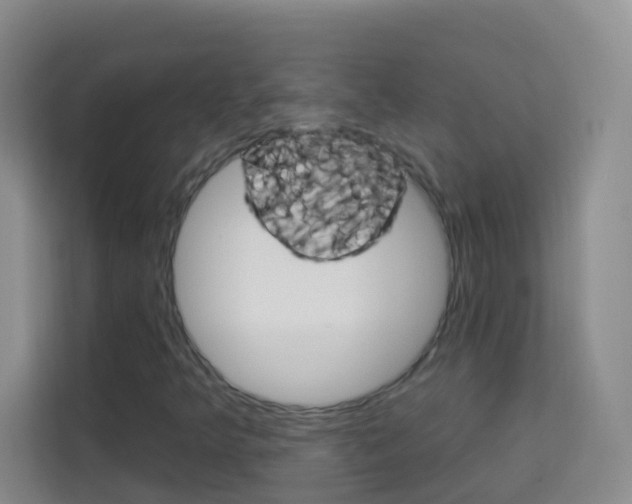 X0000114211349200910091020
