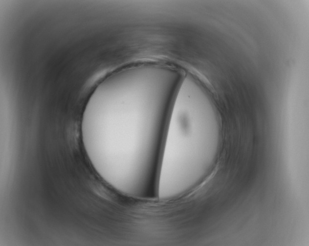 X0000114211355200910091020