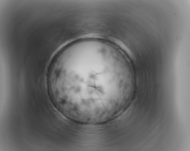 X0000114211356200910091020
