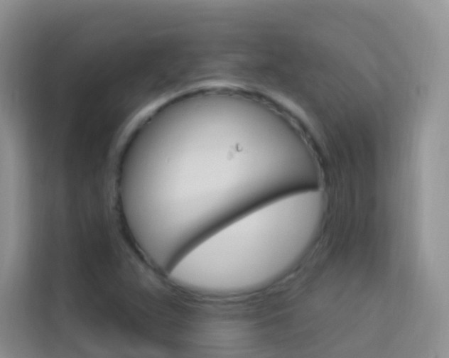 X0000114211359200910091020