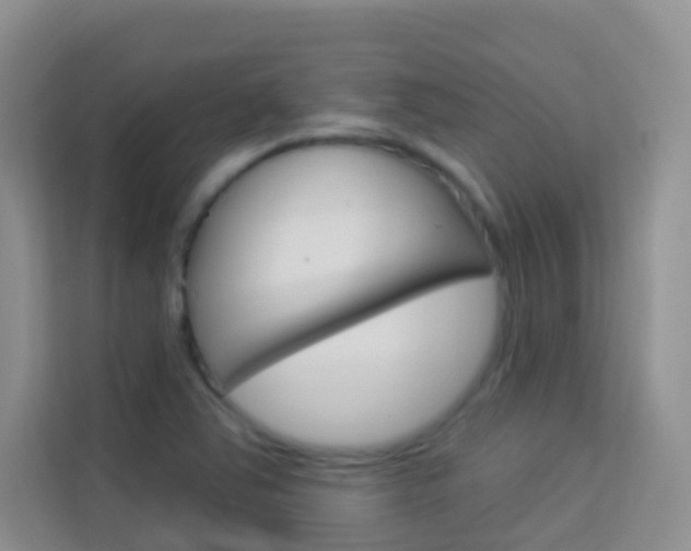 X0000114211363200910091020