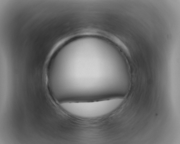 X0000114211368200910091020
