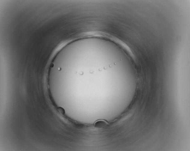 X0000114211373200910091020