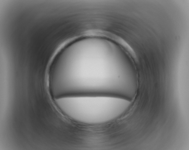 X0000114211376200910091020