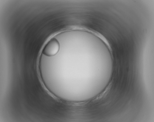 X0000114211381200910091020