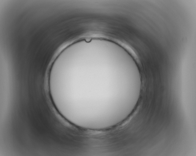 X0000114211382200910091020