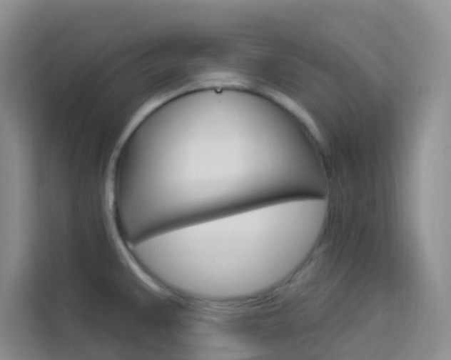X0000114211383200910091020