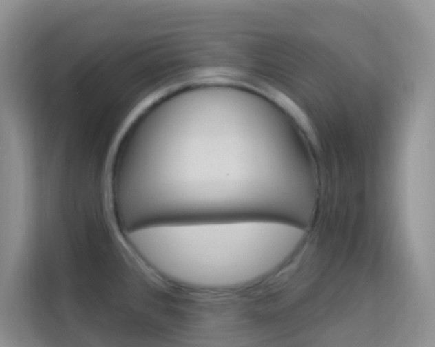 X0000114211384200910091020