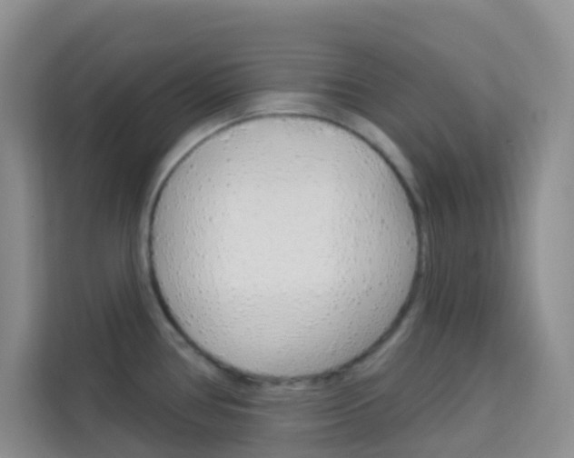 X0000114211386200910091020