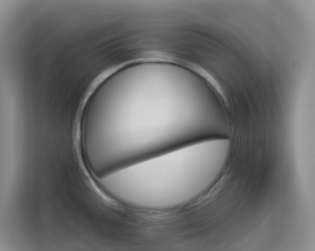 X0000114211387200910091020