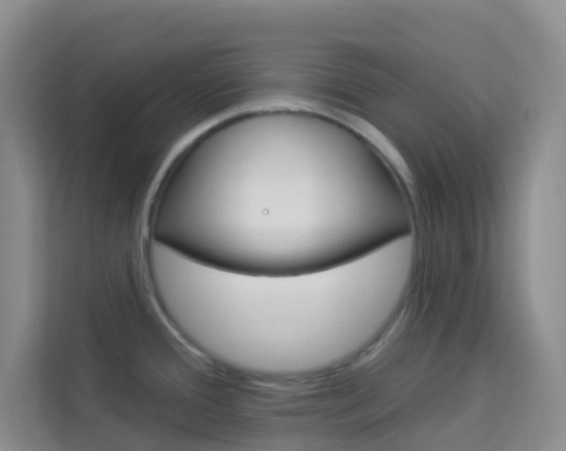 X0000114211388200910091020