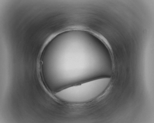 X0000114211389200910091020