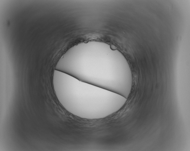 X0000114211393200910091019