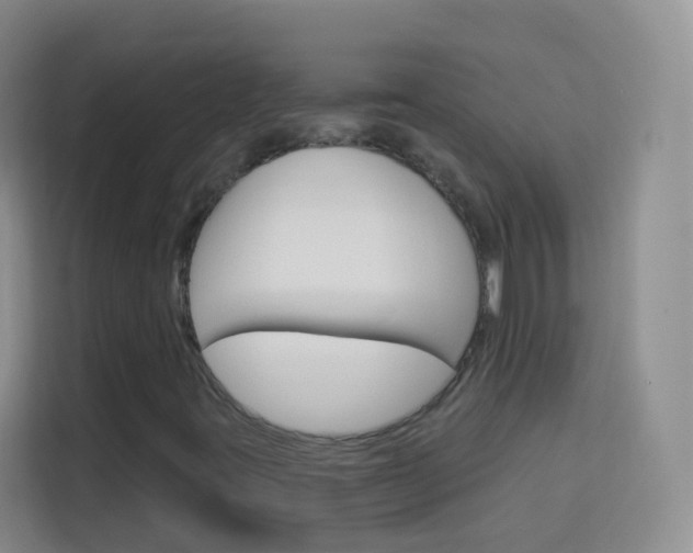 X0000114211395200910091019