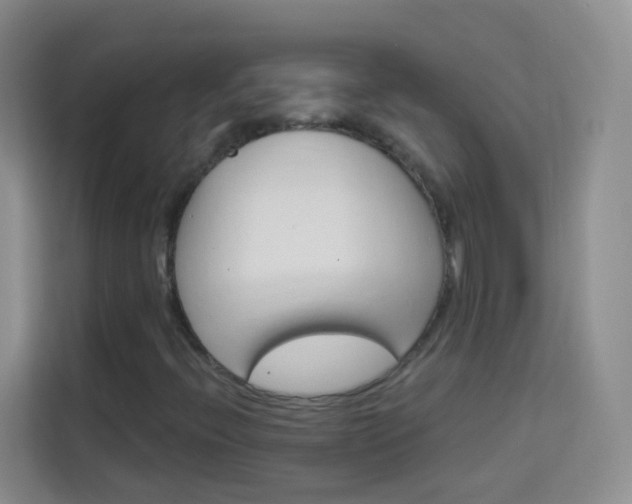 X0000114211396200910091019