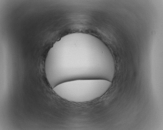 X0000114211397200910091019