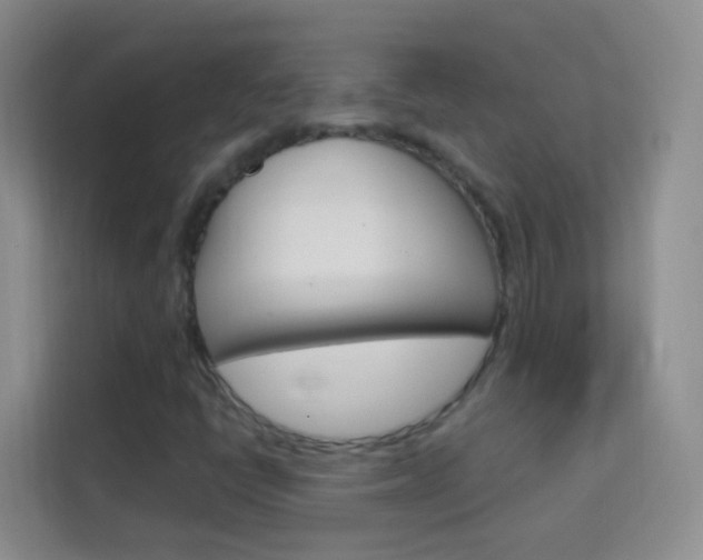 X0000114211398200910091019