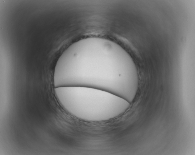 X0000114211399200910091019