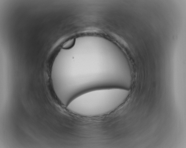X0000114211400200910091019