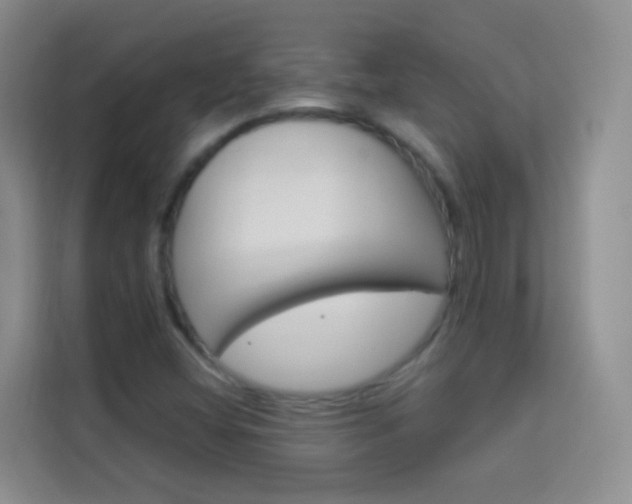 X0000114211404200910091019