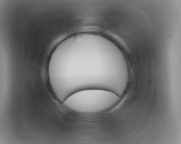 X0000114211405200910091019