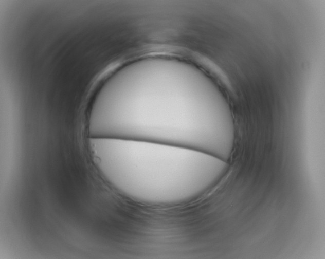 X0000114211411200910091019