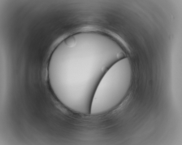 X0000114211413200910091019