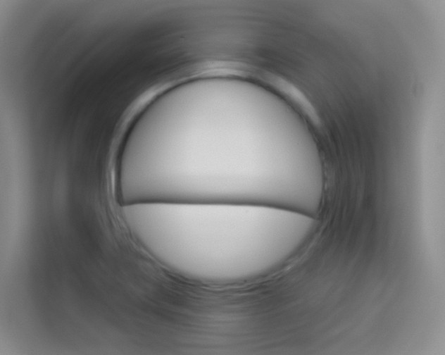 X0000114211419200910091020