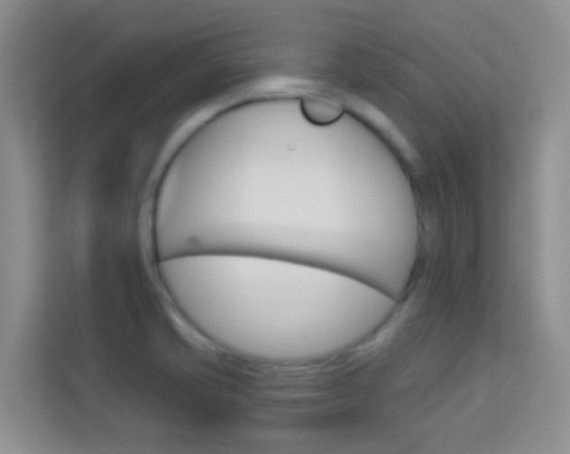 X0000114211421200910091020
