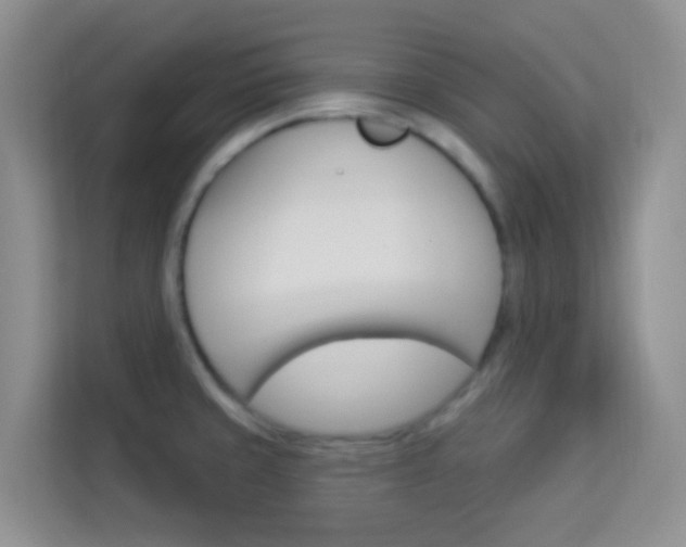 X0000114211429200910091020